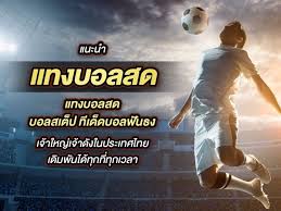 แทงบอลสด