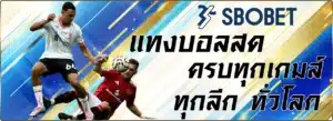 แทงบอล sbobet